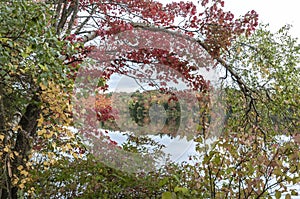 Peekaboo view of New Hampshire pond surrounded by autumn foliage