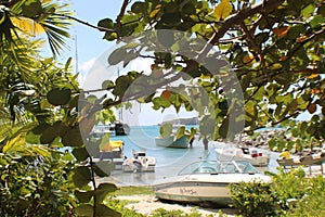 Peeking through bushes