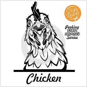 Peeking chicken - Cheerful chicken peeking out - face head isolated on white - vector stock