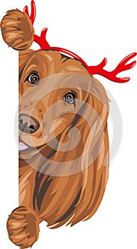Peeking Cocker Spaniel dog with Christmas horns