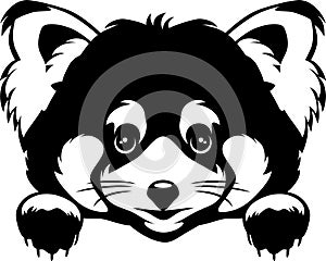 Peeking cute red panda. Black and white version