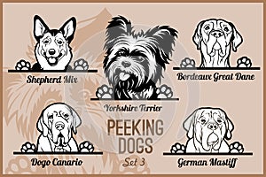 Peeking Dogs - vector set. Heads and paws - dog breeds, black and white illustration and breeds names.