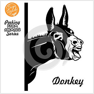 Peeking Donkey - donkey screams - face head isolated on white
