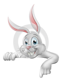 Peeking Easter Bunny Rabbit Pointing Cartoon Sign photo