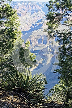 Peeking at the Grand Canyon