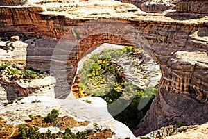 Peeking through a massive natural bridge