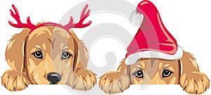 Peeking retriever puppies in Christmas accessories