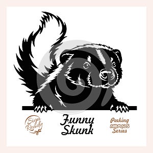 Peeking Skunk - Funny Skunk peeking out - face head isolated on white