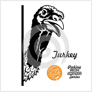 Peeking Turkey - Cheerful gobbler peeking out - face head isolated on white - vector stock