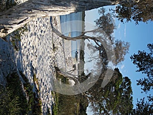 Peel Harvey Estuary Foreshore photo