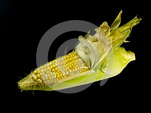 Peel raw corn
