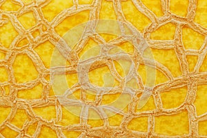 The peel of a ripe yellow melon with texture tracks, full screen. Melon variety torpedo