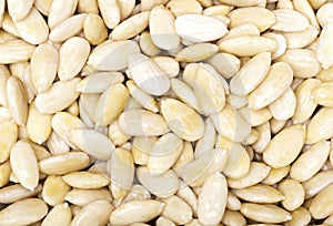Peeled Almond Background photo