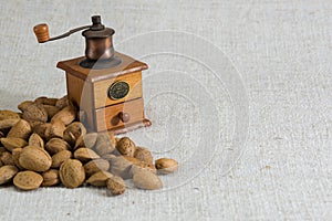 Peeled almonds in a white bowl on beige fabric texture, and an antique coffee grinder, copy space for text