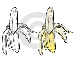 Peeled banana in clipart style in isolate on a white background.