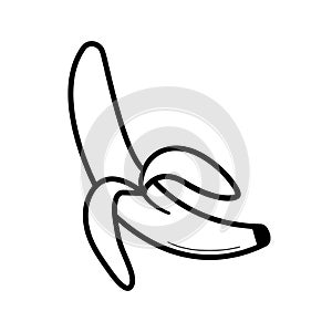 Peeled banana. Hand drawn sketch icon of fruit. Vector illustration in doodle line style.