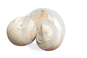 Peeled Coconuts isolated