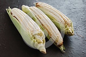 Peeled corn, elote maiz mexican food in mexico