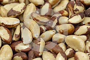 Peeled dried cashew nut in bulk.