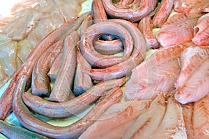 Peeled fresh eel on display