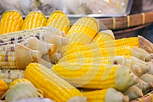 Peeled Freshly Steamed Sweet Corn in the Food Market