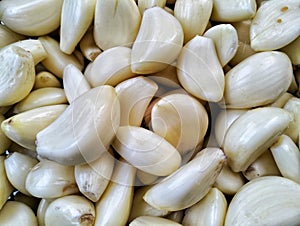 Peeled garlic cloves, ingredients for making seasonings and economically valuable photo