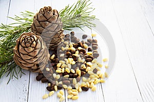 Peeled kernels of cedar nuts in a spoon, two pine cones, green branches