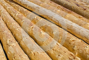 Peeled logs
