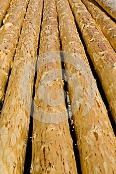 Peeled logs background