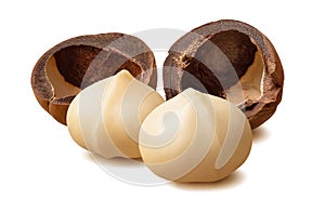 Peeled macadamia nuts and empty nutshells isolated on white background