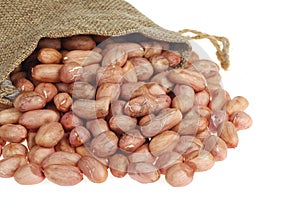Peeled peanut kernels isolated on a white background