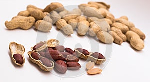 Peanut kernels on a white background