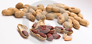 Peanut kernels on a white background