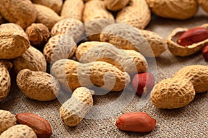 Peeled peanuts on burlap. Peanut background
