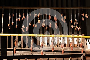 Peeled persimmons being suspended by strings from their stems to air-dry