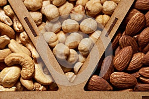 Peeled raw cashew kernels, hazelnuts and almonds on showcase. Close-up top view