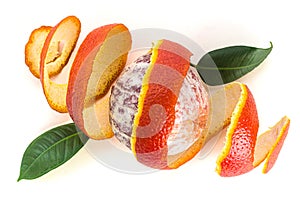 Peeled red sicilian orange fruit and spiral shaped peel isolated on white background