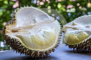 Peeled ripe durian in shell on wooden Plate