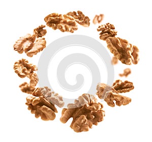 Peeled from the shell, walnut kernels levitate on a white background
