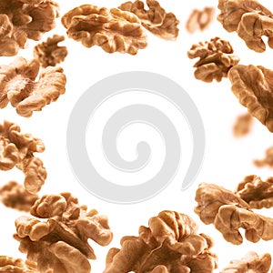 Peeled from the shell, walnut kernels levitate on a white background