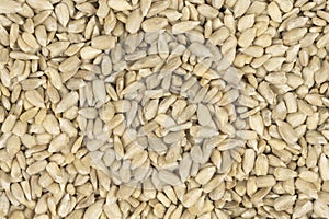 Peeled sunflower seeds background texture