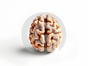 peeled walnut resembling the shape of a human brain, on a white background