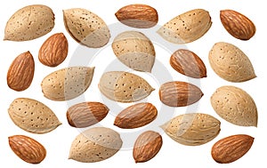 Peeled and whole almond nuts set isolated on white background photo