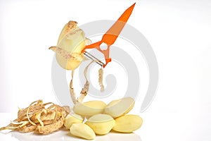 Peeler cleans potatoes, potato skin and peeled potatoes on a white background, place for text