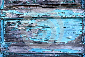 Peeling blue paint on old wood door. Background texture