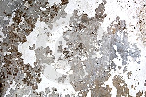 Peeling floor with fungi, texture background.