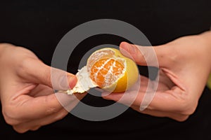 Peeling a Fresh Orange Mandarin. Female Hands skillfully peeling a juicy ripe mandarin