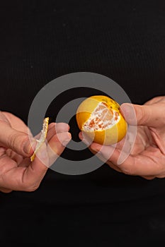 Peeling a Fresh Orange Mandarin. Female Hands skillfully peeling a juicy ripe mandarin