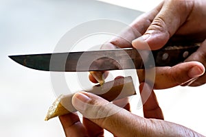 Peeling lotus stem with a small knife for cooking. Lotus stem or lotus root.