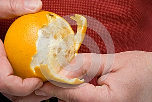 Peeling an Orange